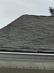 algae covered over roofing shingles